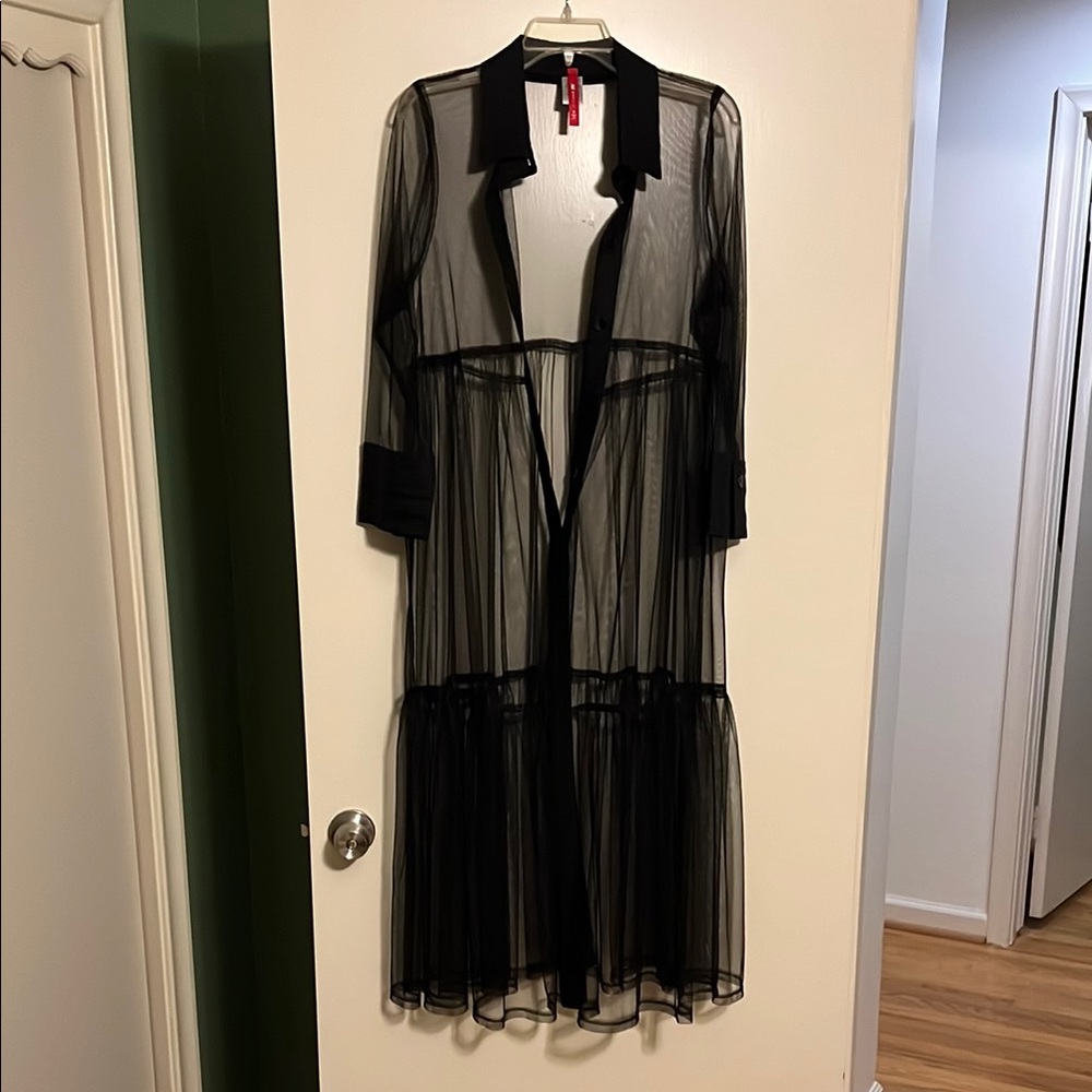 IC Sheer Black Mesh Dress